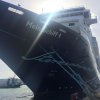 mein schiff 1